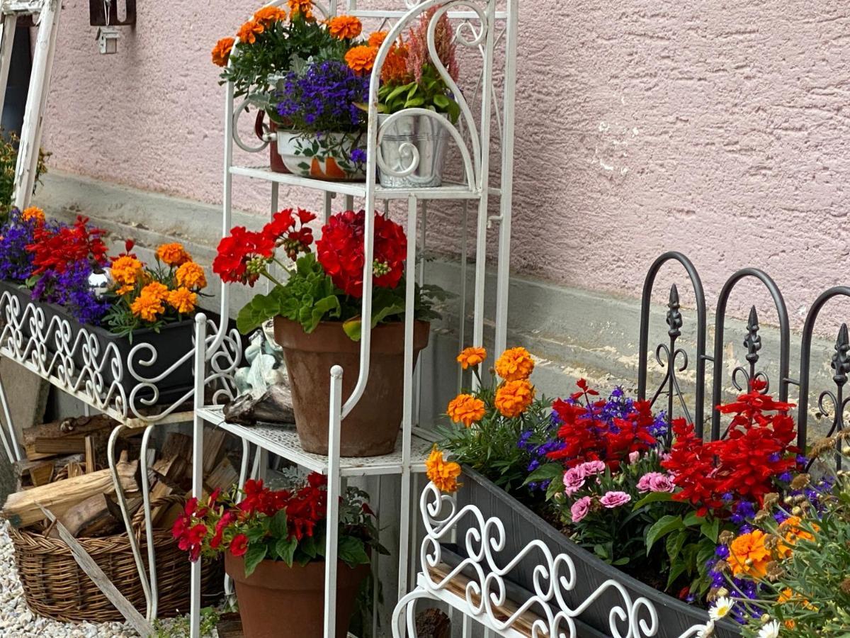 Villa Petrabunt Villach Eksteriør billede